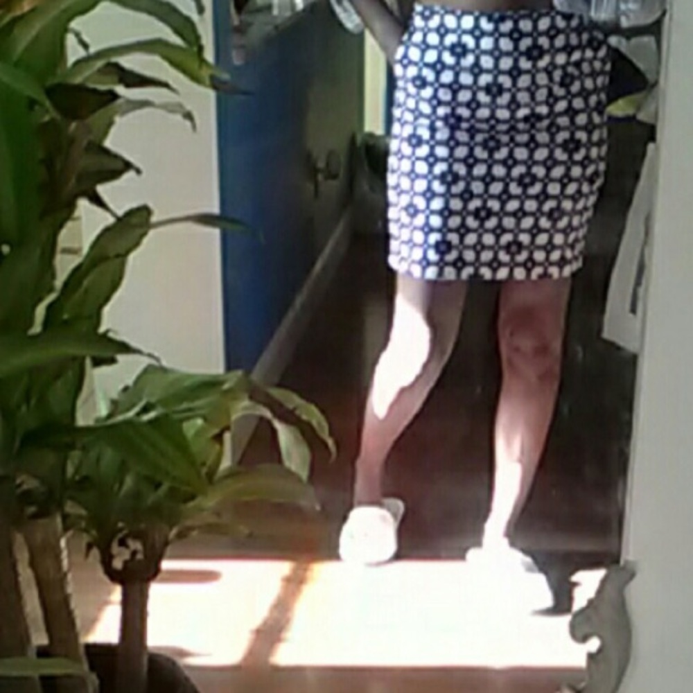 Joe Fresh skirt